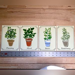 Set of 4 herb prints
